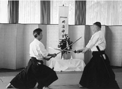 INABA MINORU SENSEI
